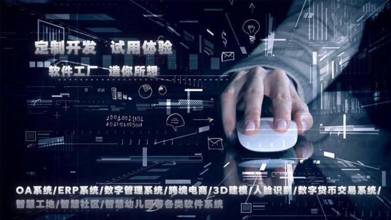 重庆软件开发行业动态新趋势
