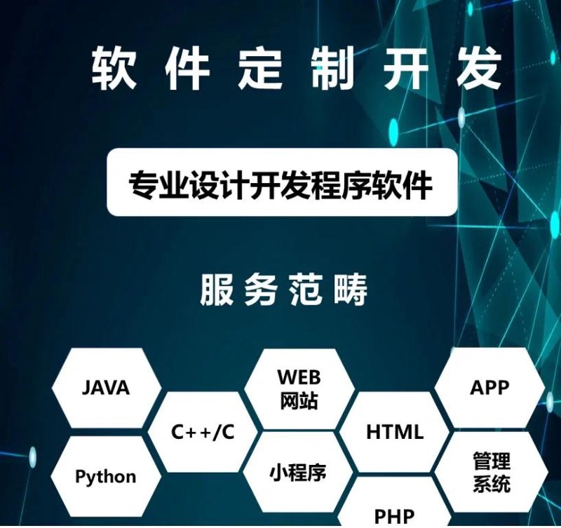软件定制开发:构建专属数字力量